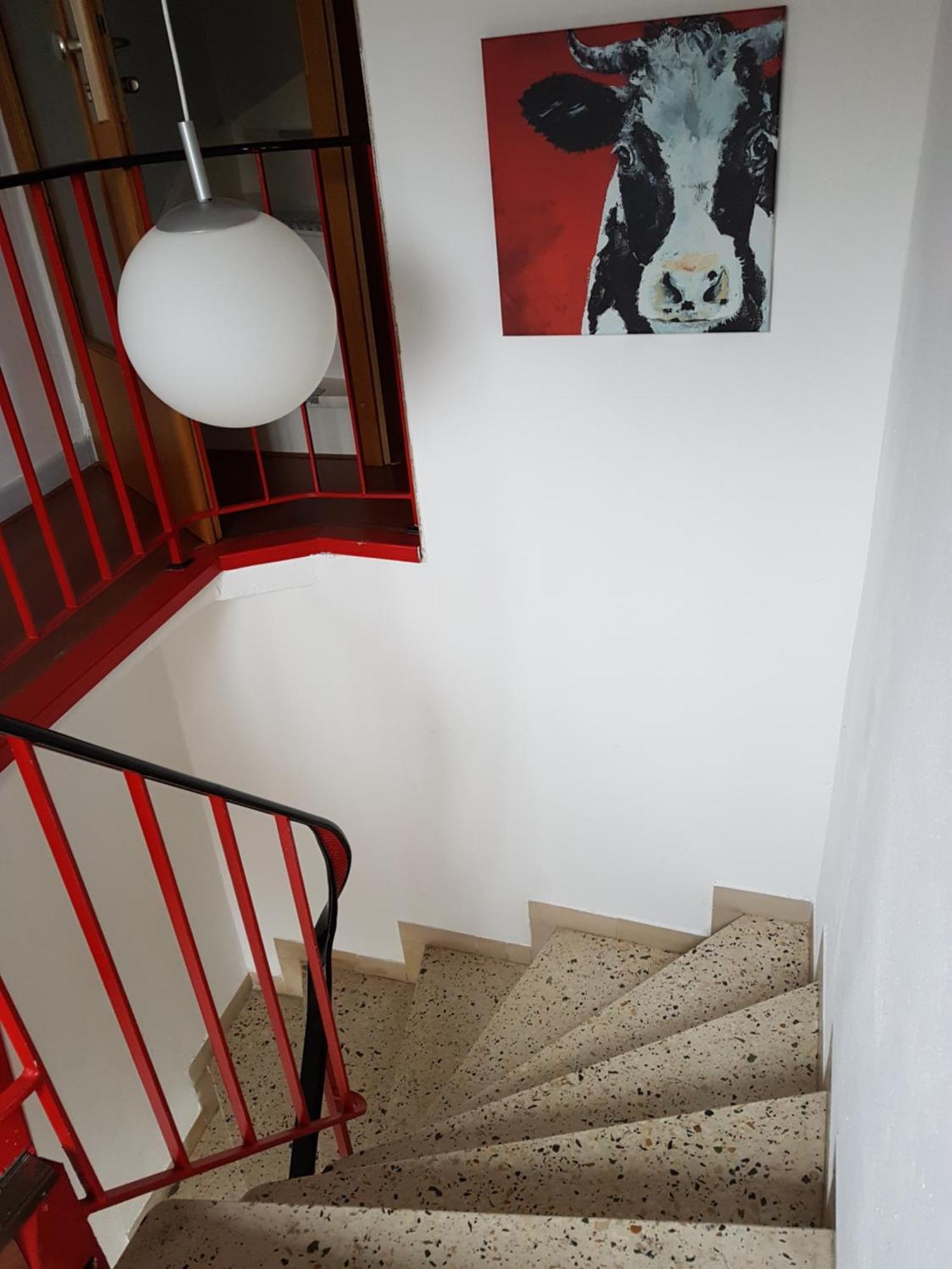 Appartamento Haus Marlene Zell an der Mosel Esterno foto